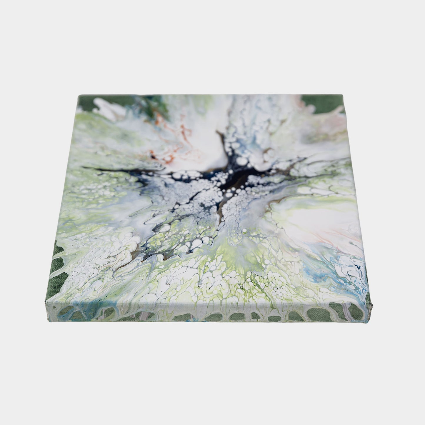 White Anemone on Green